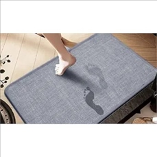 Absorbent Non-slip Carpet