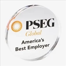 Acrylic Award 10 square inches