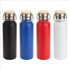 Barona 20 oz Vacuum Insulated Stainless Steel Bottle
