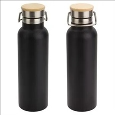 Barona 20 oz Vacuum Insulated Stainless Steel Bottle