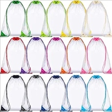 Clear Drawstring Backpack
