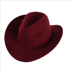 Cowboy Hat