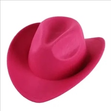 Cowboy Hat