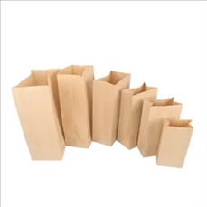 Craft Paper Popcorn Bag