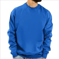 Crewneck Sweatshirt for Men