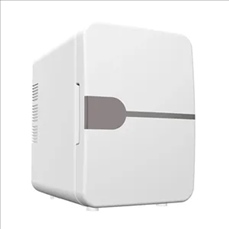 Dual Use Car And Home Mini Fridge