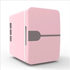 Dual Use Car And Home Mini Fridge