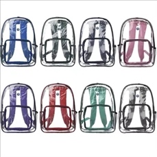 Economy Clear Plastic Backpack with Mesh Pocket