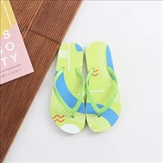 Flip Flops