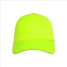 Foam Trucker Mesh Cap