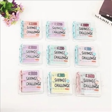 Mini Binder Savings Challenge