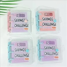 Mini Binder Savings Challenge