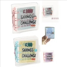 Mini Binder Savings Challenge