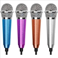 Mini Portable Microphone