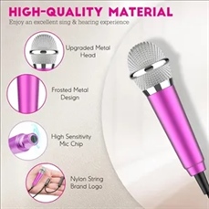 Mini Portable Microphone