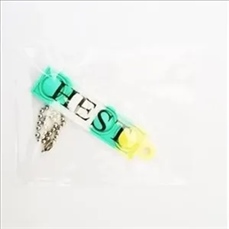 Mini Silicone Push Pop Keychain