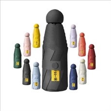 Mini Umbrella with Case