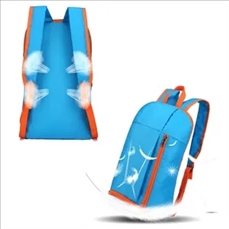 Outdoor Leisure foldable Backpack