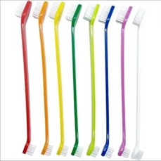 Pet double head toothbrush