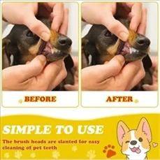 Pet double head toothbrush