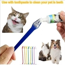 Pet double head toothbrush