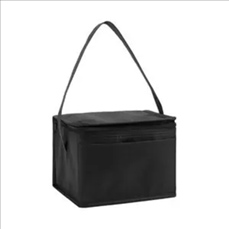 Springs 6-Pack Insulated Cooler Bag