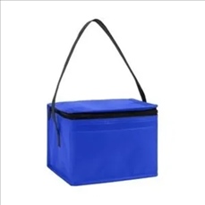 Springs 6-Pack Insulated Cooler Bag