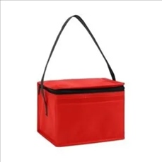 Springs 6-Pack Insulated Cooler Bag