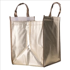 Thermal Insulated Lunch Tote Bag